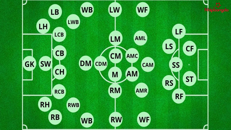 SS là viết tắt của tiền đạo phụ