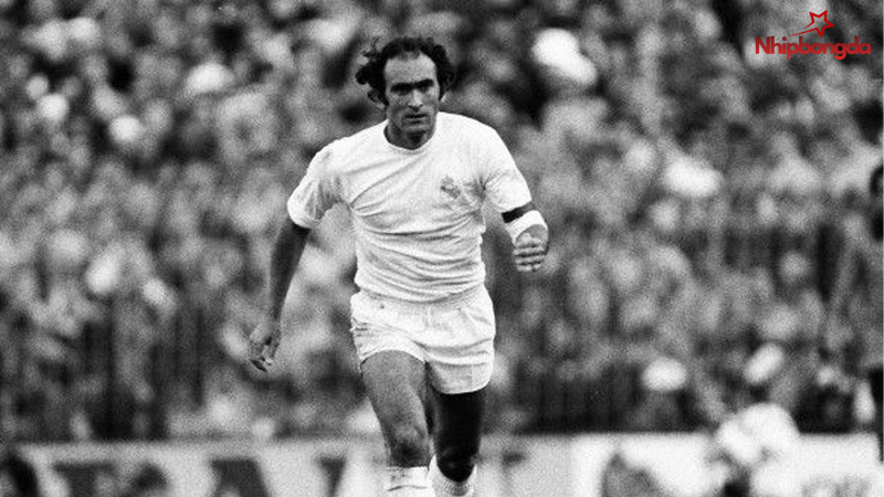 Trung vệ/Tiền vệ trụ Pirri (José Martínez Sánchez)